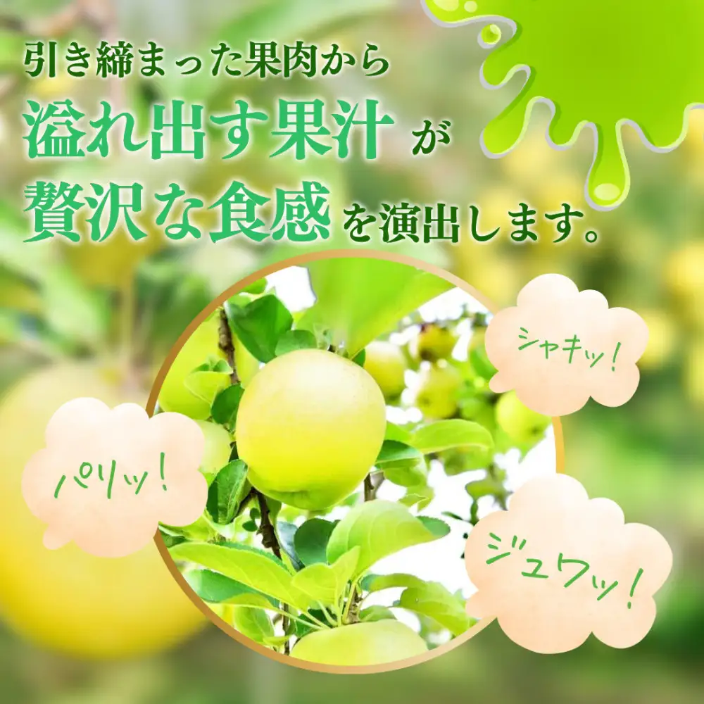 【10月中旬発送 先行予約】樹上熟成　シナノゴールド 3kg