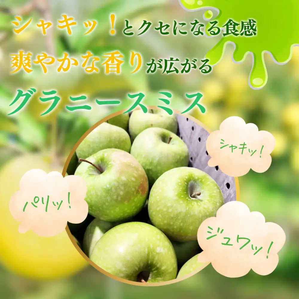 【10月下旬発送 先行予約】樹上熟成　グラニースミス 3kg | りんご グラニースミス 青りんご 加工用