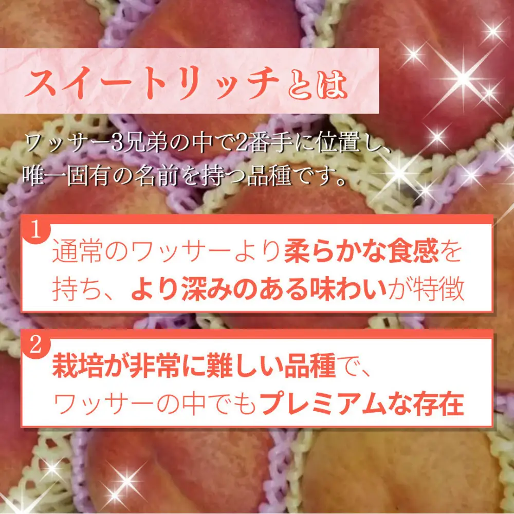 【8月上旬発送 先行予約】スイートリッチ 3kg(中生ワッサー） | ワッサー 桃 希少品種 ネクタリン