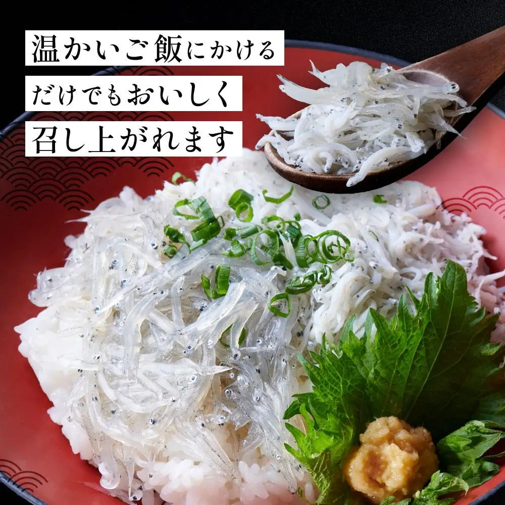 冷凍生しらす＋釜揚げしらすセット 510g（生しらす100g×3・釜揚げしらす70g×3）静岡県御前崎産 しらす丼  小分け 個包装 便利 大容量 徳用  海鮮丼 どんぶり 刺身 おつまみ おかず 惣菜 晩ごはん