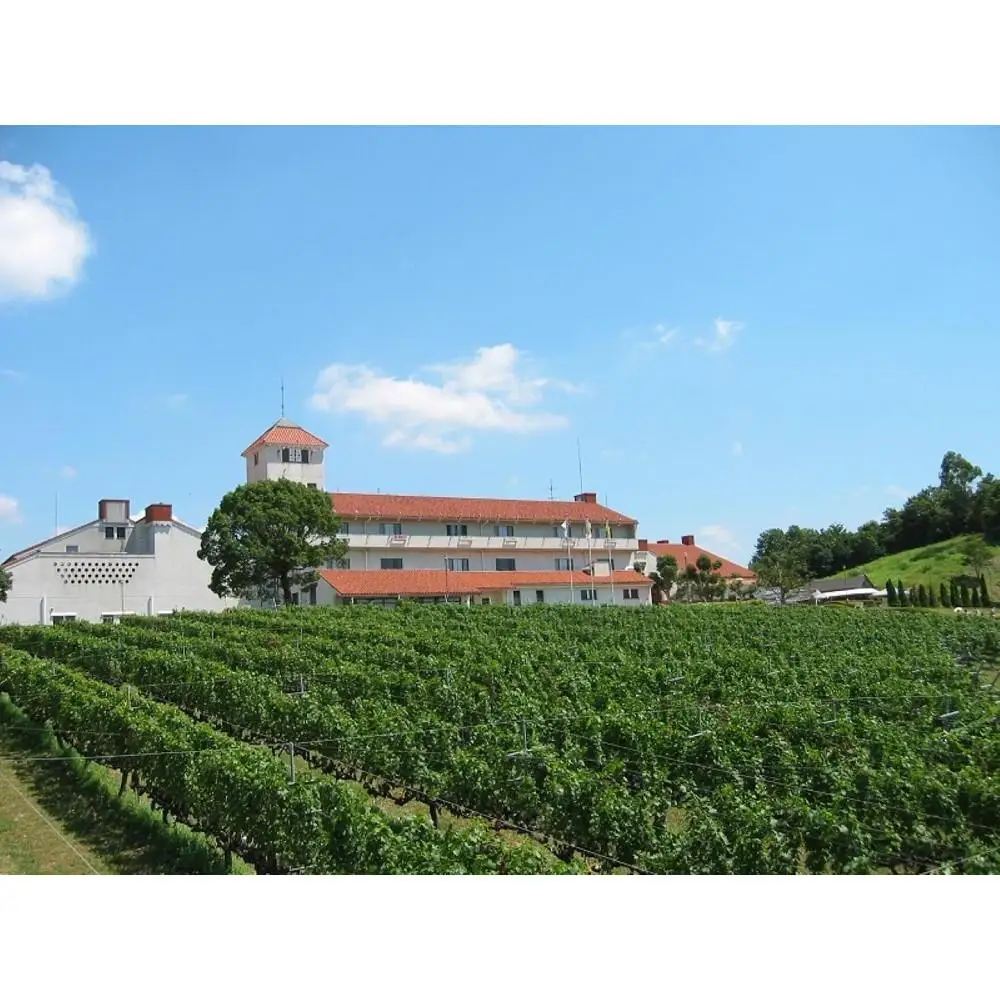 神戸ワイン タータンラベル 白　720ml瓶×1本