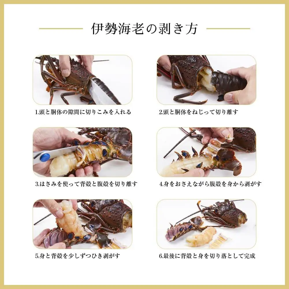 冷凍 伊勢海老1尾 約300ｇ 伊勢海老