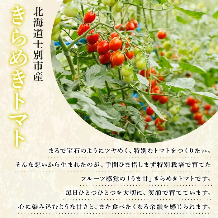 【B7051】＜期間限定＞北海道士別市産 極甘きらめきミニトマト (1.8kg) 【2026年7月以降順次発送】野菜 とまと トマト ミニトマト 新鮮 産地直送 甘い 完熟 リコピン 北海道 北海道産 国産 旬 【あったかふぁーむ】