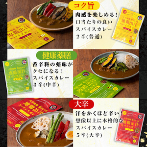 大分地鶏豊のしゃも地鶏出汁スパイスカレー3種セット(合計540g・180g×3パック)レトルト 簡単調理 ご当地カレー【112400202】【天峯ファーム】