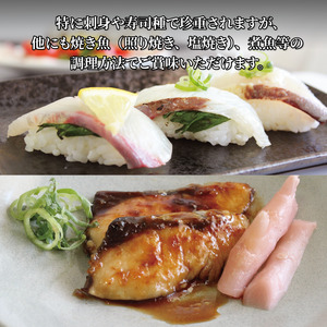 活じめ！神経抜き！ひらまさフィレ半身1枚（約0.9～1.3㎏） | 刺身 さしみ お刺身 刺身 さしみ お刺身 刺身 さしみ お刺身 魚介 海の幸 冷蔵 ひらまさ ヒラマサ 愛媛県 松山市【KHN0102】