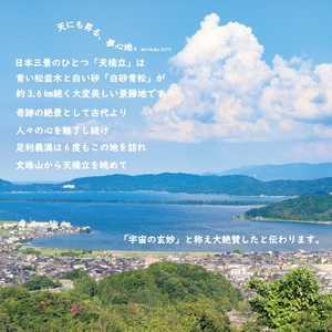 【日本三景・天橋立】旅館組合20施設から選べる旅行クーポン（宿泊・食事補助券）600,000円分 ～海の京都 宮津 で過ごす絶景旅に～