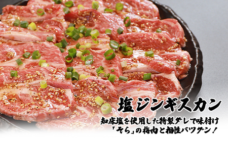 【定期便：全6回】知床ジンギスカン店「そら」ラム肩ロースジンギスカン2種セット 計600g（味付け×300g・塩×300g）【1601201】