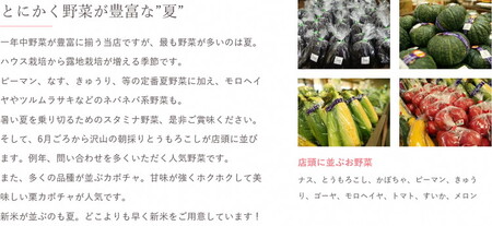 【定期便3か月】道の駅まくらがの里古河　季節の新鮮野菜おまかせAセット ※北海道・沖縄・離島への配送不可 _BQ05
