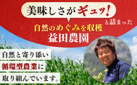 【なら育ち 益田農園】 鮮度 命 ！ 朝 採れ ！ 当日 出荷 ！ とうもろこし 約 4kg ( 10本 ～ 15本 ）| 野菜