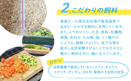 奄卵 （ あまらん ）～ 平飼い 有精卵 30個 A115-007 卵 たまご 養鶏 鶏 奄美ファーム ふるさと納税 奄美市 おすすめ ランキング プレゼント ギフト
