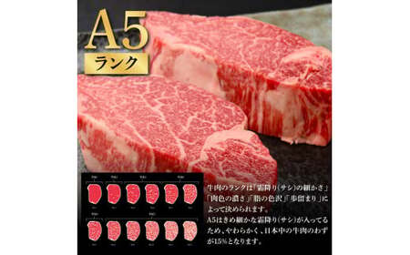 土佐和牛特選ヒレステーキ100g×2枚セット 