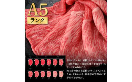 土佐和牛最高級A5特選ももスライス450g 