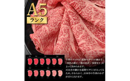 土佐和牛 特選クラシタロース スライス Ｗパック900g 