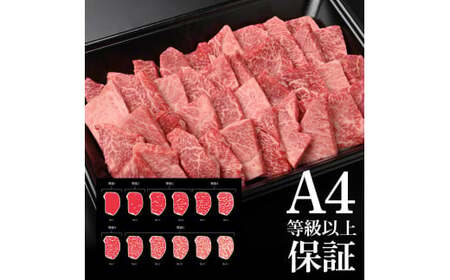 土佐和牛上カルビ焼肉450g 