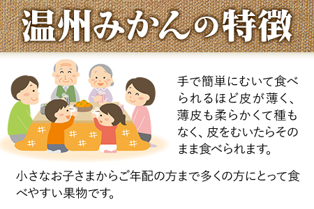 みかん 温州みかん 約 10kg 熊本県 荒尾市産含む 《11月上旬-12月上旬頃出荷》送料無料 熊本県 荒尾市 フレッシュフーズ 柑橘 フルーツ ミカン 蜜柑 果物 美味しいみかん 旬のみかん ジューシーみかん フルーツみかん