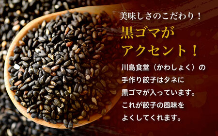 地元に愛される絶品手作り冷凍餃子100個 山武市産のニラをふんだんに使用！ ／ふるさと納税 餃子 キョウザ 冷凍 ニラ 中華 お惣菜 千葉県 山武市 SMBN003