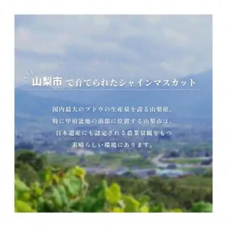 【産地直送】厳選高級シャインマスカット 2kg(3～4房)【配送不可地域：離島・沖縄県】【1518455】