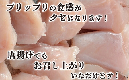 国産 ふぐちり 鍋 食べ比べ 大容量セット ふぐ鍋 ふぐちり鍋 鍋食べ比べ FG041