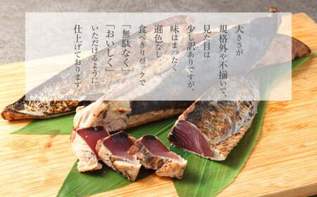 【通常発送】【訳あり】 本場土佐カツオたたき(お刺身) 3.3kg（たれなし） 鰹のたたき かつおのたたき 鰹 かつお 魚 さしみ 刺身 魚介 冷凍