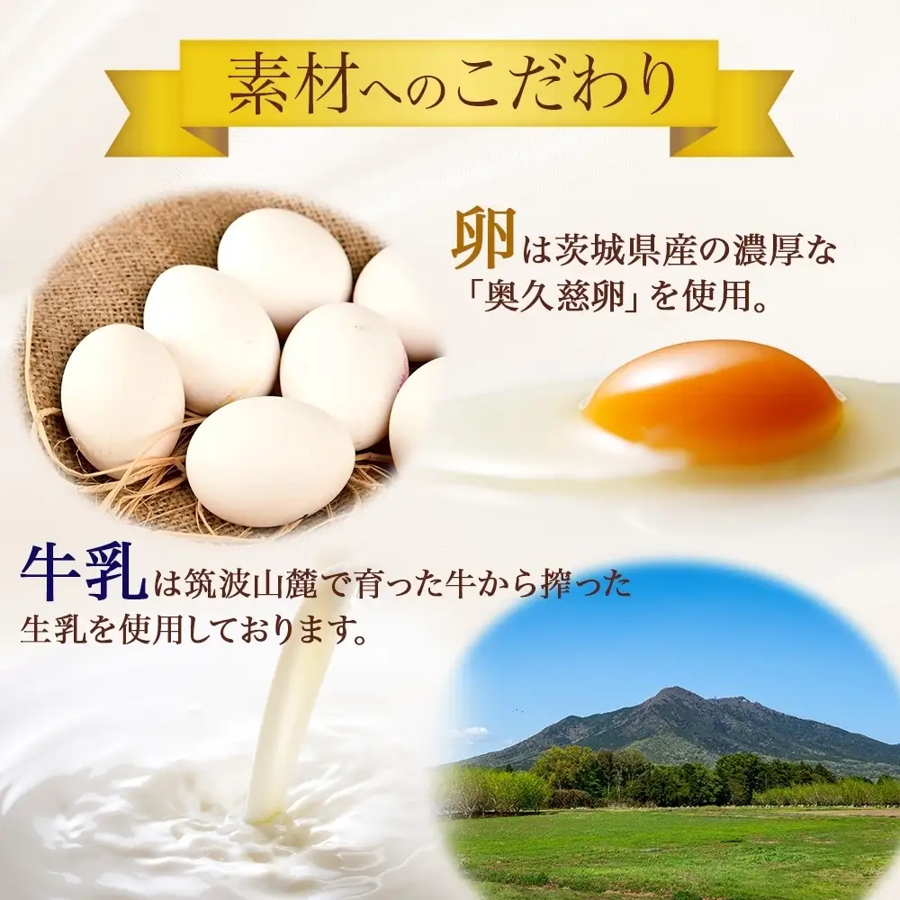 つくばぷりん プレーン 10個 冷凍 プリン ぷりん 牛乳 生乳 ミルク 卵 奥久慈卵 スイーツ 贅沢 洋菓子 おやつ 冷菓 ご褒美 デザート 専門店 人気 グルメ お取り寄せ ギフト プレゼント 贈り物 贈答品 化粧箱 筑波山 つくば 送料無料 ふじ屋 茨城県 桜川市 [EW002sa]