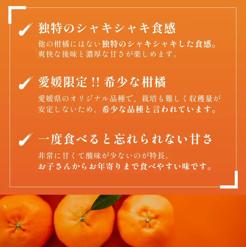 【数量限定】【先行予約】マルハ果樹園 甘平 4L～2L 8～12玉