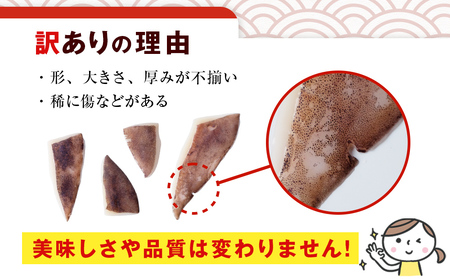 【訳あり】 氷見産 アオリイカの耳（エンペラ） 1kg 〈冷凍〉　イカ