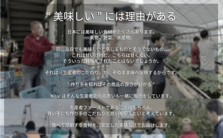 KISAI GARDEN 冷凍 うずしおベリー 2kg | 苺 いちご イチゴ 徳島 鳴門 果物 フルーツ スムージー ジャム　冷凍　いちご