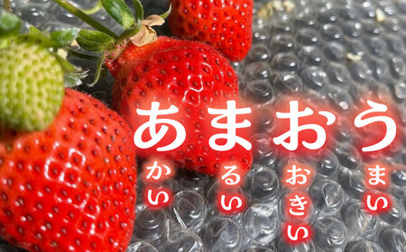 【先行予約】津田くん農園のあまおう 1kg [VDG001] 苺 いちご あまおう
