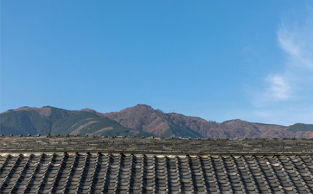 篠峯 720ml 純米大吟醸 山田錦 四割磨き 袋吊り斗瓶取り ／ 千代酒造 お酒 日本酒 限定酒 特産品 奈良県 御所市