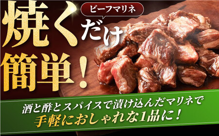 【6回定期便】しろいし牛1頭まるごと 食卓定期便 / 牛肉 [IAH222]