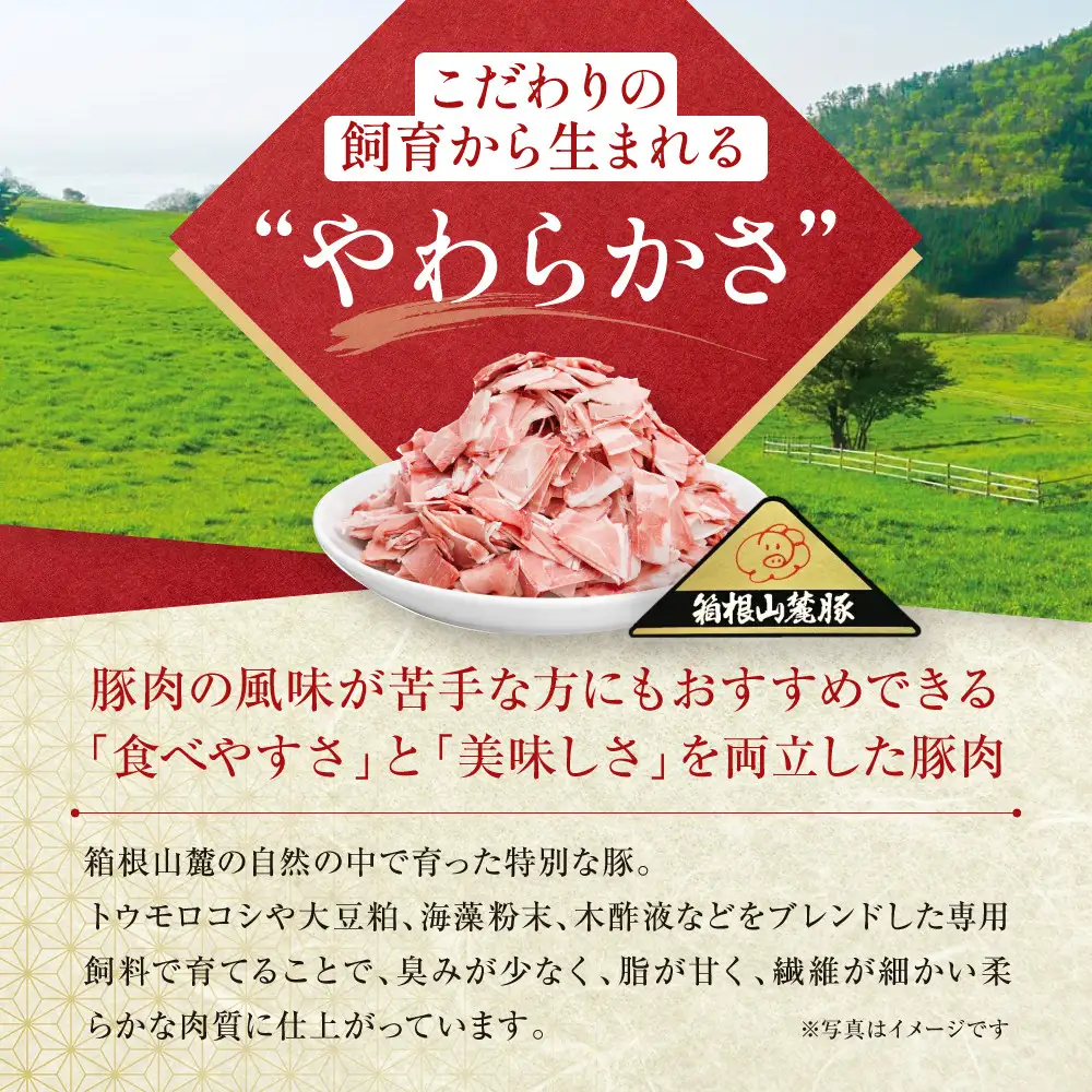 【定期便９ヵ月】箱根山麓豚　モモ・ウデ切り落とし２K盛り(500ｇ×４パック)【 箱根山麓豚 切り落とし 神奈川県 小田原市   豚肉 豚肉】