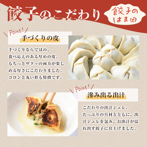 ＼テレビで紹介されました！／ニラ餃子(計48個・12個入り×4袋) 餃子 生餃子 ギョウザ ぎょうざ ギョーザ セット 詰め合わせ おかず お惣菜 冷凍 和風 水餃子【餃子のはま田】akn096-01