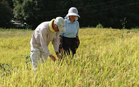 【5kg】令和7年産 米 ヒノヒカリ 無洗米 精米 白米 沢のしずく 5kg×1袋 2025年 四万十市産 国産 ひのひかり おこめ こめ コメ ご飯 ごはん おいしい ふっくら もちもち 高知県 四万十市 四万十 しまんと お取り寄せ 25-0002