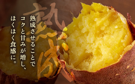【先行予約】大谷原の熟成さつまいも（3kg 土付き) 約15本【入手困難・数量限定】【2026年10月下旬以降順次発送予定】【サツマイモ 芋 紅はるか】 [m23-a002]