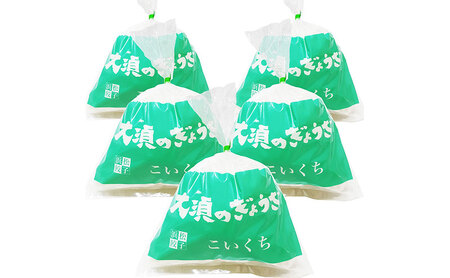 【定期便3回】浜松餃子 大須のぎょうざ［ 浜松ぎょうざ まろやか風味＜ こいくち味 ＞］×5袋（1袋20個入、合計100個） 
