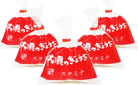 【定期便12回】浜松餃子 大須のぎょうざ［ 浜松ぎょうざ にんにくマシマシ！元気回復！＜ スタミナ味 ＞］× 5袋（1袋20個入、合計100個） 