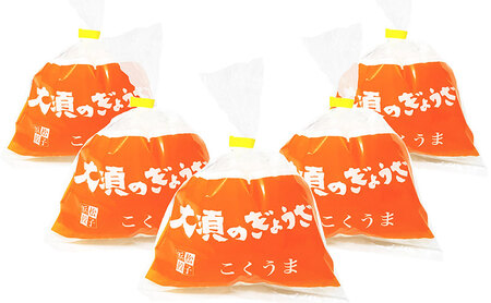 【定期便3回】浜松餃子 大須のぎょうざ［ 浜松ぎょうざ とまらぬコクと旨いを堪能！＜ こくうま味 ＞］× 5袋（1袋20個入、合計100個） 