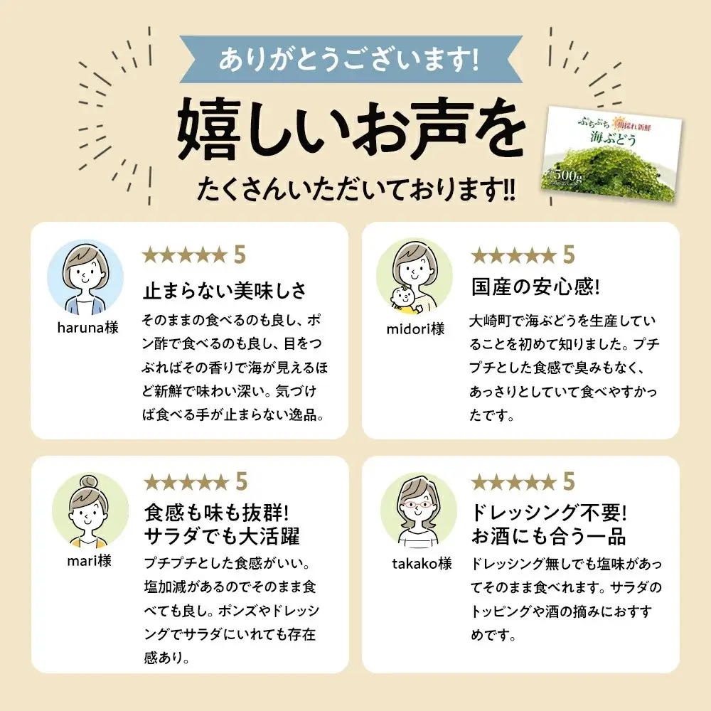 【発送は4月以降】海の幸　朝採れぷちぷち海ぶどう 朝採れ新鮮 海ぶどう～MOBAKO育ちのSEAGRAPES！？～