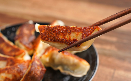 【奄美島豚】餃子 24個（12個×2袋・約680g） 豚肉 島豚