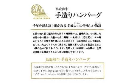 ＜大山物語＞　氷温®熟成 鳥取和牛100%手造りハンバーグ 100g×6