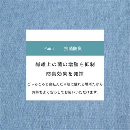 カーペット 日本製 抗菌防臭 軽量薄手 ジェミニ 176×261cm 江戸間 3畳用 ブルー【1518675】
