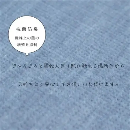 カーペット 日本製 抗菌防臭 犬 猫 ペット対応 ビオラ 261×352cm 江戸間 6畳用 ブルー【1518721】
