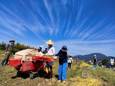 自然栽培米の米粉 5kg