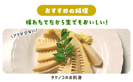 タケノコ 約5kg 【 ふるさと納税 人気 おすすめ ランキング 筍 山菜 タケノコ 野菜 やさい お取り寄せ ご当地 特産品 千葉県 山武市 送料無料 】SMAF003