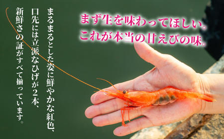 【化粧箱入り】ちょっと贅沢なご褒美を～ 「ふく福甘えび」 剥き甘えび そのまんま（冷凍）120g × 3袋 【甘海老 あまえび アマエビ えび 海老 剥き身 お刺身 生食 海鮮 海産物 魚介類 新鮮 冷凍便】 [A-13513]