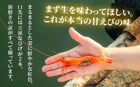 【簡易包装】ちょっと贅沢なご褒美を～ 「ふく福甘えび」 剥き甘えび そのまんま（冷凍）120g × 3袋 【甘海老 あまえび アマエビ えび 海老 剥き身 お刺身 生食 海鮮 海産物 魚介類 新鮮 冷凍便】 [A-13514]