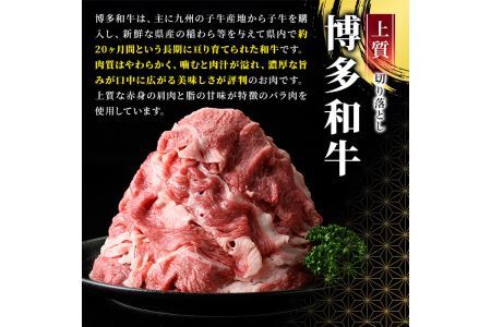 大満足！博多和牛切り落とし(600g×2P・計1.2kg) 牛肉 黒毛和牛 国産 すき焼き しゃぶしゃぶ  肩 バラ 福岡県＜離島配送不可＞【ksg0404】【MEATPLUS】