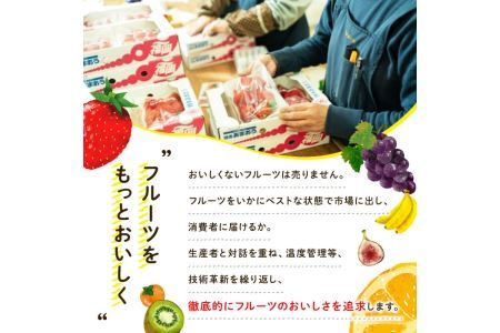 天然熟成天日塩 ナッツ4種セット(400g×4袋・合計1.6kg)ナッツ カシューナッツ ピスタチオ ミックスナッツ アーモンド 素焼きナッツ おつまみ おやつ 晩酌 常温 常温保存【ksg0086-C】【南国フルーツ】
