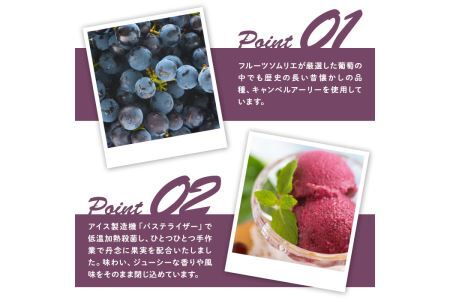 フルーツソムリエが作った濃厚キャンベルアーリージェラート(1L) ぶどう 葡萄 アイス アイスクリーム 手作り スイーツ お土産 ＜離島配送不可＞【ksg0051】【南国フルーツ】