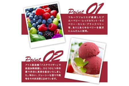 フルーツソムリエが作った濃厚ベリーベリージェラート 業務用 (1L) アイス アイスクリーム ブルーベリー レッドカラント ラズベリー カシス ブラックベリー 手作り スイーツ ＜離島配送不可＞【ksg0059】【南国フルーツ】